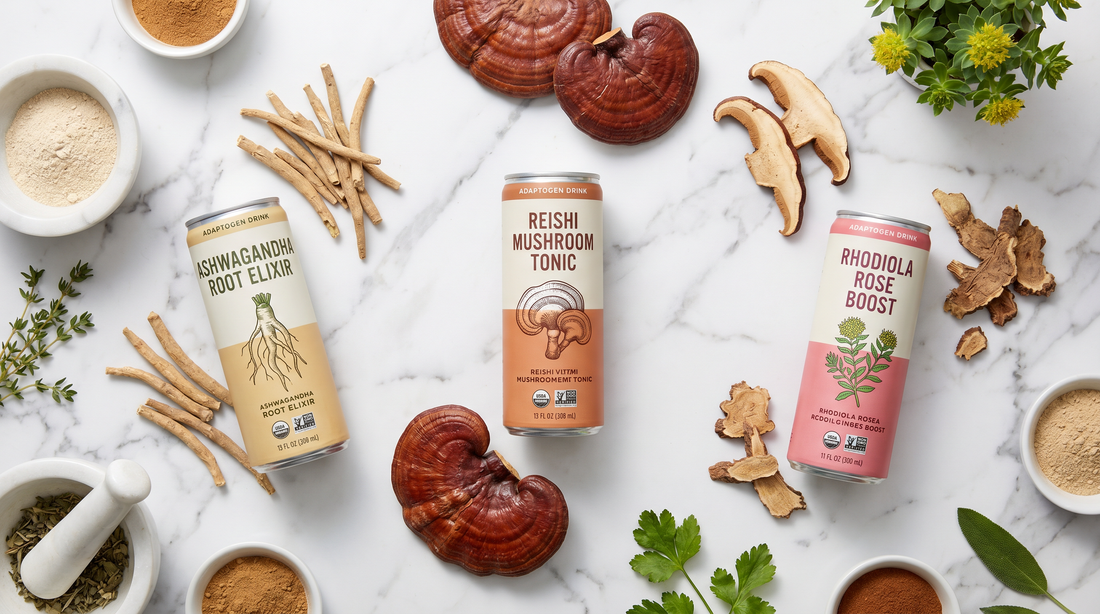 Adaptogen Drinks: Benefits, Types and Best Brands (2026)